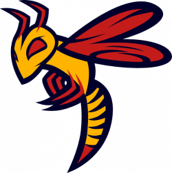 SA swarm concept - Concepts - Chris Creamer's Sports Logos Community ...