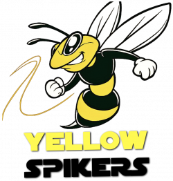 Hornet Bee Clip art - bee 956*1002 transprent Png Free Download ...