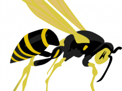 Wasp Clipart - Free Clipart on Dumielauxepices.net