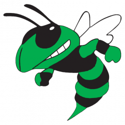 Hornet Clipart albany - Free Clipart on Dumielauxepices.net