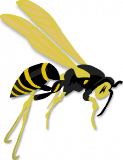 Flying Wasp Clip Art at Clker.com - vector clip art online ...