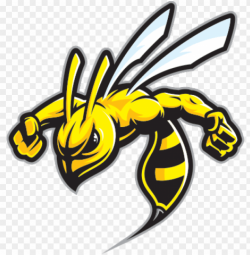 hornet clipart wasp sting - honey bee mascot logo PNG image ...