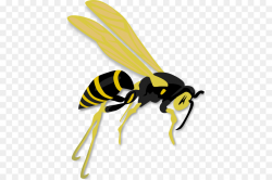 Bee Cartoon png download - 456*597 - Free Transparent Hornet ...