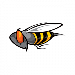 Printed vinyl Bee Wasp Vespa Hornet | Stickers Factory