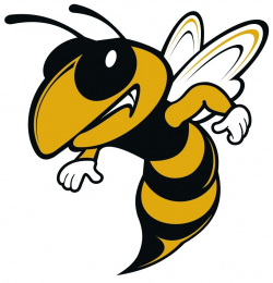 Hornets Basketball Logo | White River Boys' Basketball ...