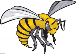 Yellow Jacket Clipart | Free download best Yellow Jacket ...