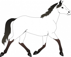 28+ Collection of Black And White Horse Clipart | High quality, free ...