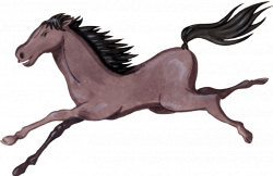 Horses and riders, cliparts, gif, website for mobile devices