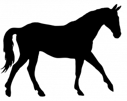 silhouette of elegant horse | Cakes - Horses Silhouette | Pinterest ...