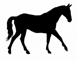 Silhouette Of Elegant Horse - Horse Silhouette Free PNG ...