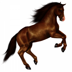 Horse Clipart Transparent picture free download.
