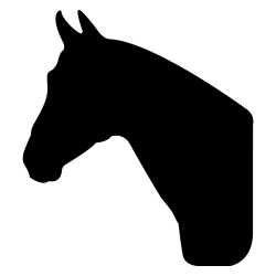 American Quarter Horse Arabian horse Silhouette Clip art ...
