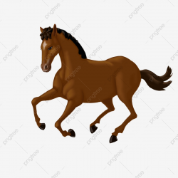 Horse, Horse Vector, Horse Clipart, Cartoon Horse PNG and ...