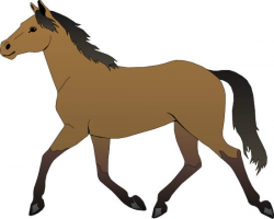 Horses Gallery Clipart