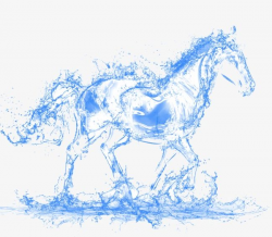 Water Horse PNG, Clipart, Abstract, Animal, Backgrounds ...