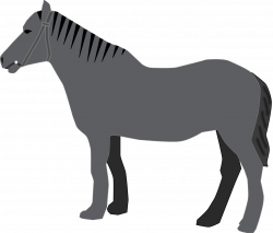 Horse Grey Animal Mammal transparent image | Horse | Pinterest ...