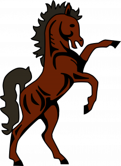 Basutho horse Icons PNG - Free PNG and Icons Downloads