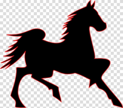 Tennessee Walking Horse Mustang Arabian horse Belgian horse ...