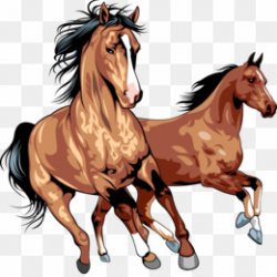 Free download Wild Horses PNG Wild Horse Mustang Clipart PNG.