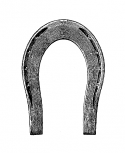 Free Picture Of Horse Shoe, Download Free Clip Art, Free Clip Art on ...