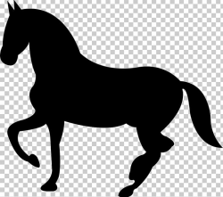 Tennessee Walking Horse Black Horseshoe PNG, Clipart, Black ...