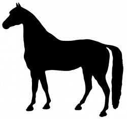 black silhouette horse | Horses | Pinterest | Black silhouette ...