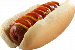 Hot dog PNG images free download