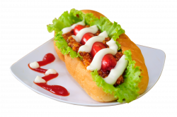 Hot Dog PNG Image - PurePNG | Free transparent CC0 PNG Image Library