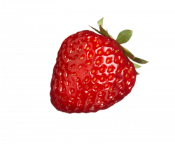 Strawberry Clip Art #22948 - Free Icons and PNG Backgrounds