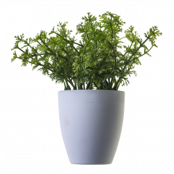 Plant png image, potted flower #44904 - Free Icons and PNG Backgrounds