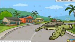 A Big Sea Turtle and A Row Of Houses In The Tropics Background