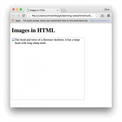 Images in HTML - Learn web development | MDN