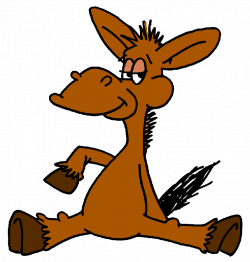 the power of a hug – BLAME IT ON THE DONKEY!