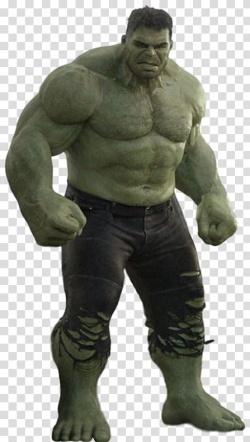 Mark Ruffalo Thor: Ragnarok Hulk Korg, Hulk transparent ...
