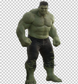Mark Ruffalo Thor: Ragnarok Hulk Korg PNG, Clipart, Action ...