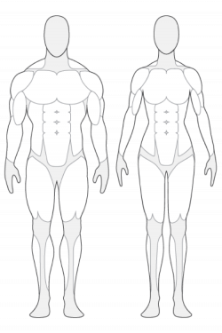 human anatomy outline human body muscle outline tendernessco free ...