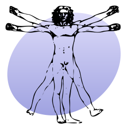 File:P human body.svg - Wikimedia Commons
