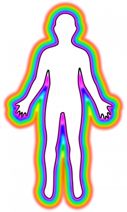 Human body Female body shape Outline Clip art - aura 675*1125 ...
