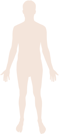 File:Human body silhouette.svg - Wikimedia Commons
