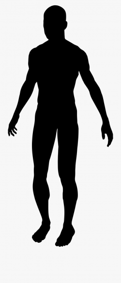 Clip Art Freeuse Human At Getdrawings Com - Male Body ...