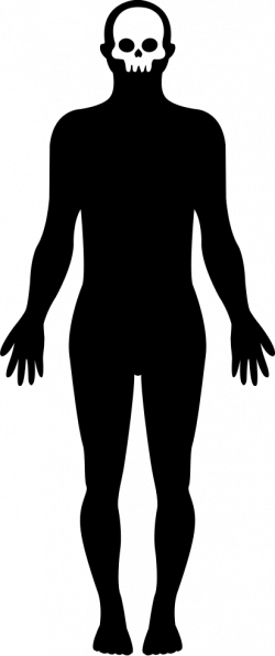 Standing Human Body Shape Svg Png Icon Free Download (#31776 ...