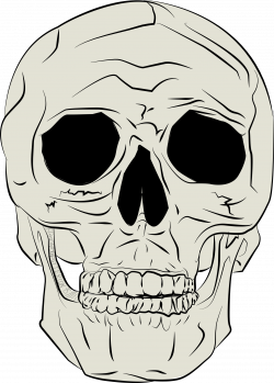 Clipart - Human Skull by JP