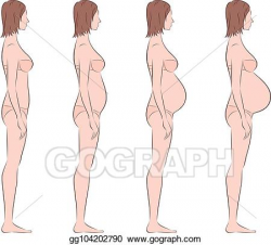 Vector Art - Pregnant woman figure. Clipart Drawing ...