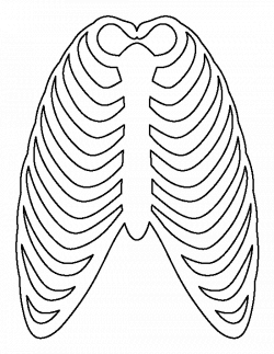 28 Images of Front Rib Cage Template | infovia.net
