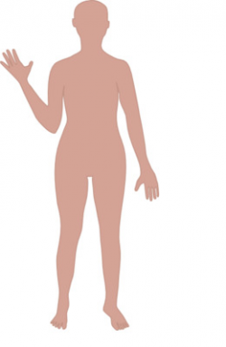 Free Human Clipart full body, Download Free Clip Art on ...