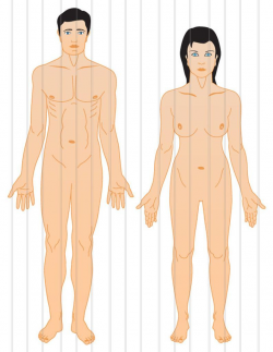 Humans clip art ,2 high resolution png human man and women, Instant  Download, man and women clip art anatomy