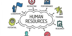 7 Human Resource Management Basics Every HR Professional ...