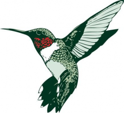 hummingbird-clipart-Ruby-throated- | humminhbirds | Pinterest ...