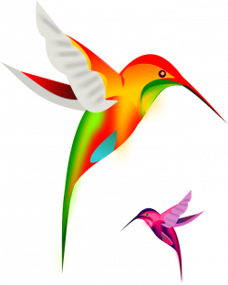 Clipart - Colibri birds