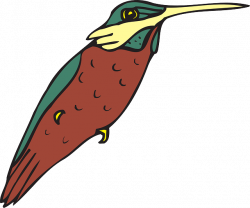 bird, wings, art, hummingbird, beak, feathers | Clipart idea ...